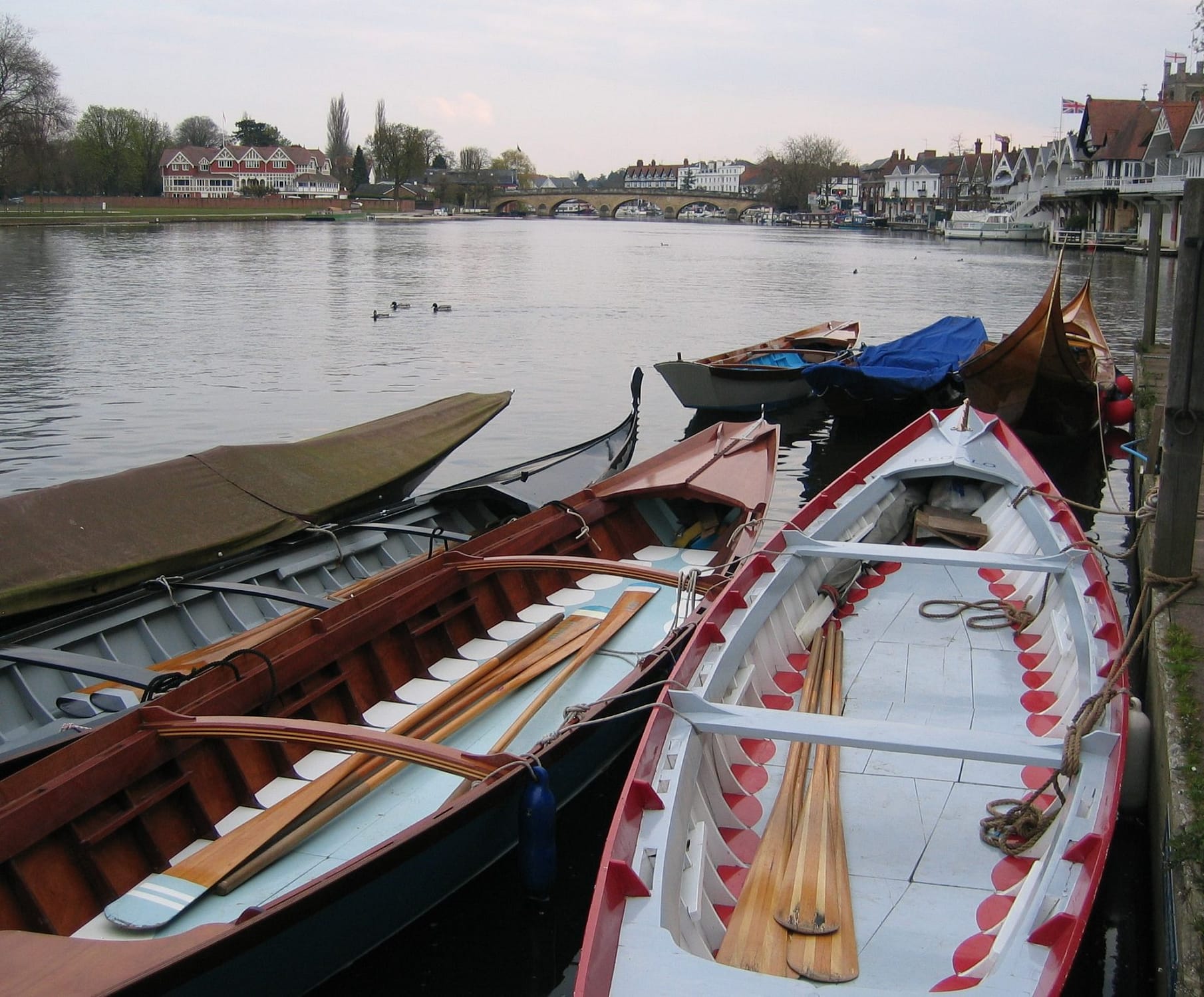 2008-4 Boats moored at Phyllis Court for return visit to Henley